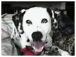 Atlas Bail Bonds Mascot